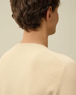 C.P. Company Sea Island Lens Ribbed Knit Pistachio Shell-Beige Store